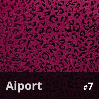 Aiport 7